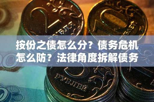 武汉按份之债怎么分？债务危机怎么防？法律角度拆解债务分配与风险自保指南