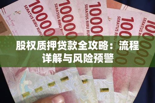 武汉股权质押贷款全攻略：流程详解与风险预警