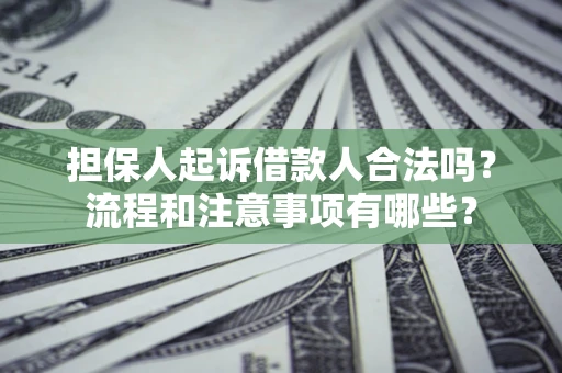 武汉担保人起诉借款人合法吗？流程和注意事项有哪些？