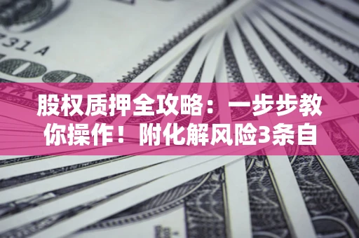 武汉股权质押全攻略：一步步教你操作！附化解风险3条自救法则
