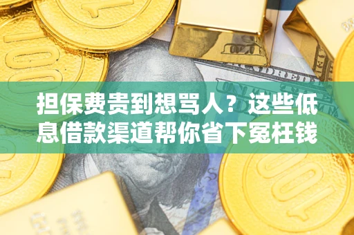 武汉担保费贵到想骂人？这些低息借款渠道帮你省下冤枉钱
