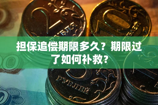 武汉担保追偿期限多久？期限过了如何补救？