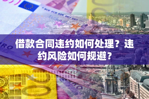 武汉借款合同违约如何处理？违约风险如何规避？