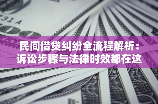 武汉民间借贷纠纷全流程解析：诉讼步骤与法律时效都在这儿了