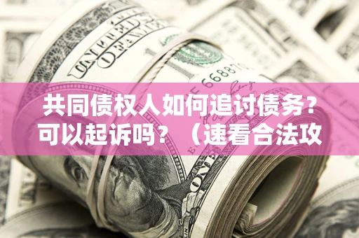 武汉共同债权人如何追讨债务？可以起诉吗？（速看合法攻略）