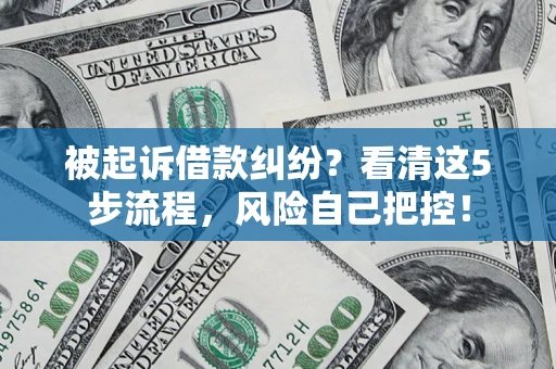武汉被起诉借款纠纷？看清这5步流程，风险自己把控！