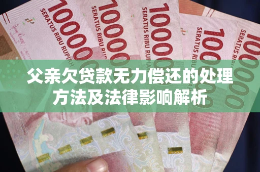 武汉父亲欠贷款无力偿还的处理方法及法律影响解析