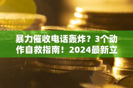 武汉暴力催收电话轰炸？3个动作自救指南！2024最新立案标准全解析