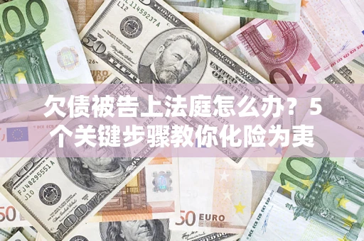 武汉欠债被告上法庭怎么办？5个关键步骤教你化险为夷